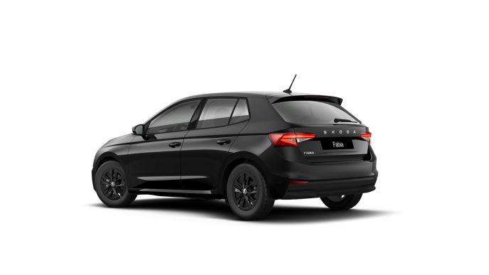 Bild eines Fabia Selection