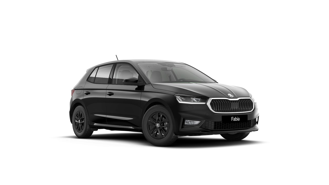 Bild eines Fabia Selection