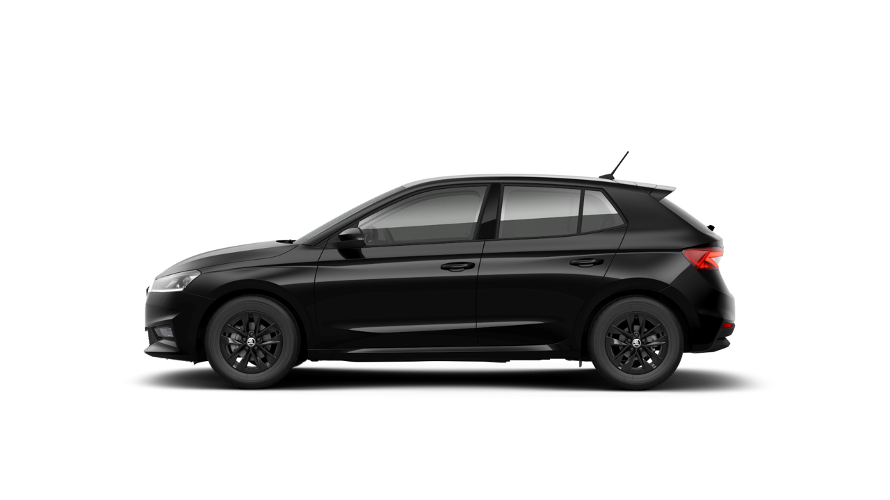 Bild eines Fabia Selection
