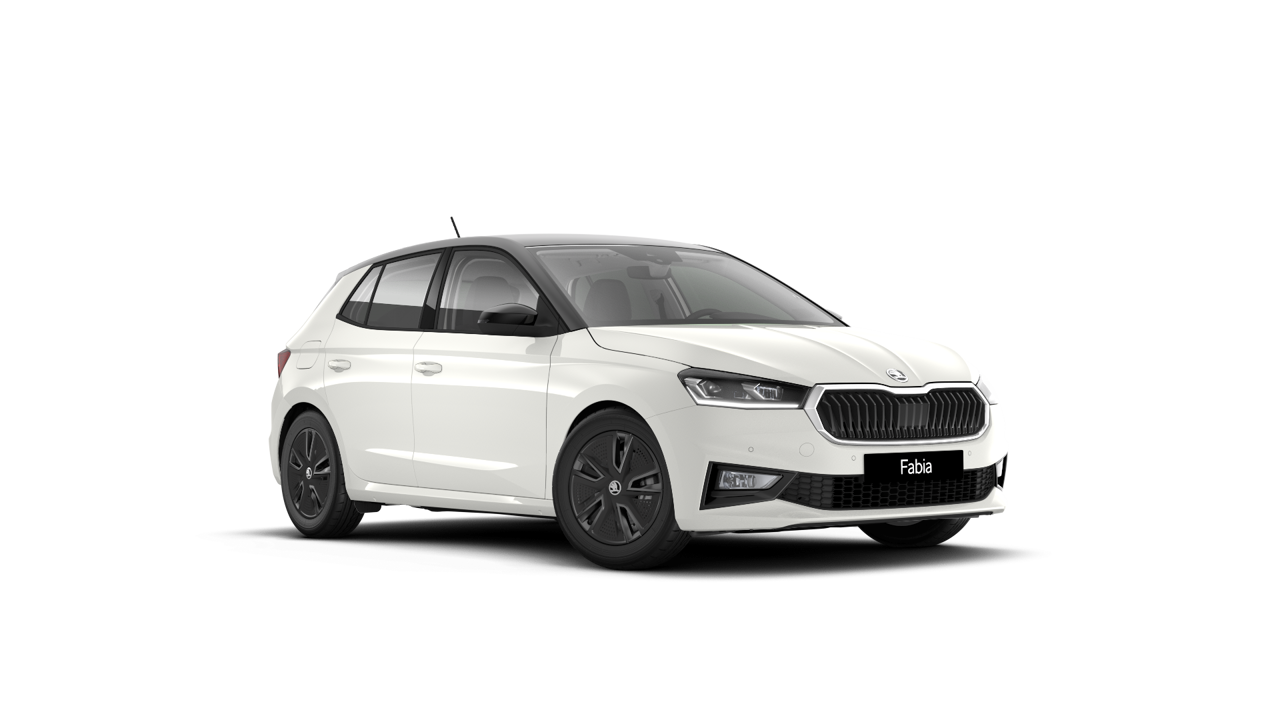 Bild eines Fabia Selection TSI DSG