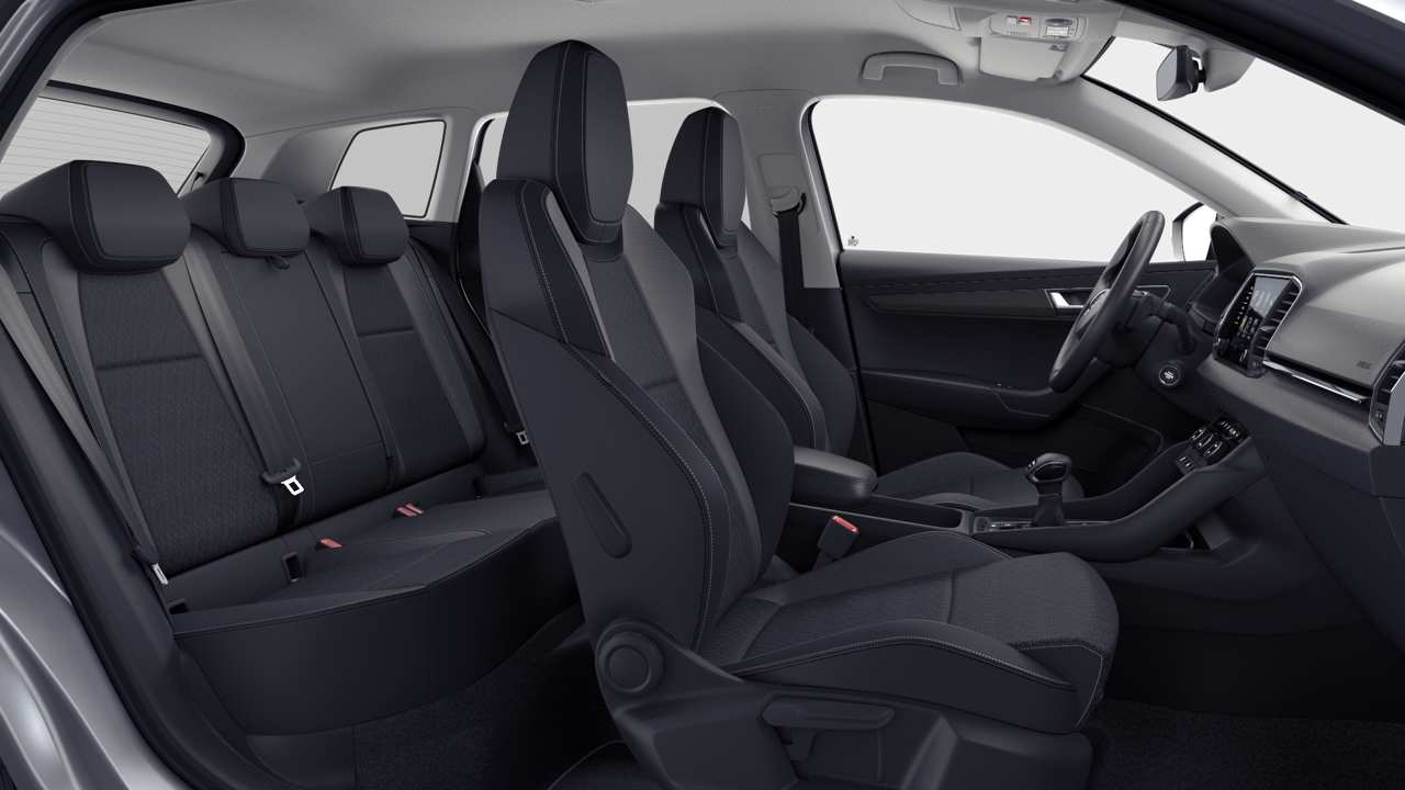 Bild eines Karoq 4x4 Selection TDI DSG