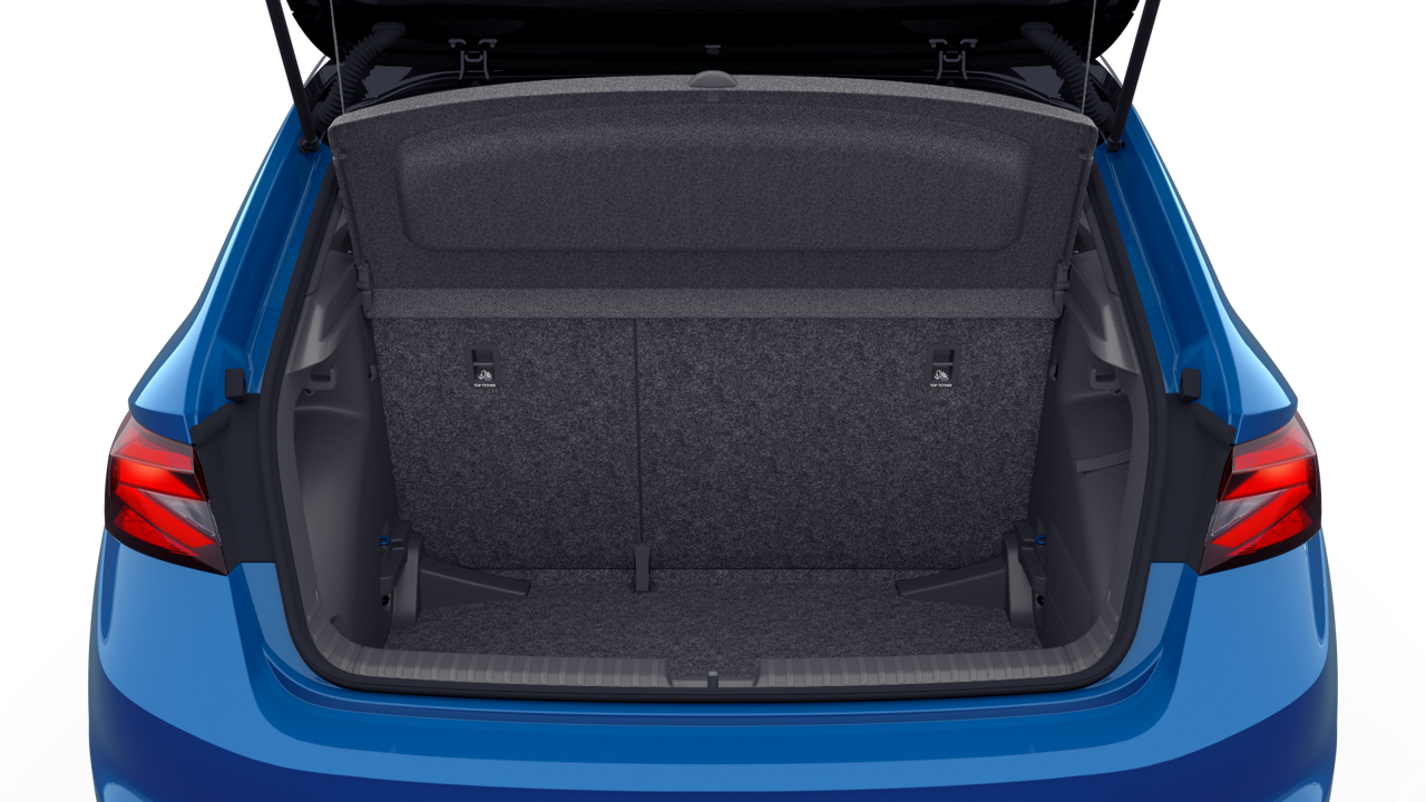 Bild eines Fabia Monte Carlo TSI