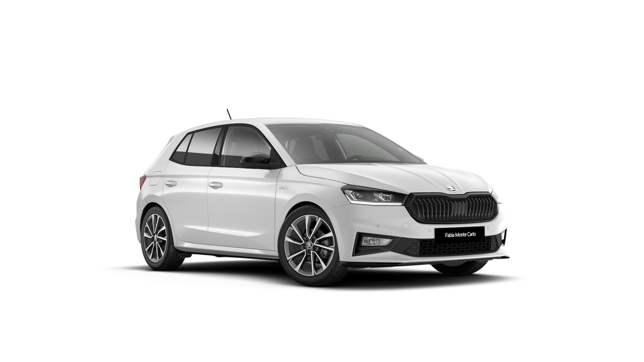 Bild eines Fabia Monte Carlo TSI