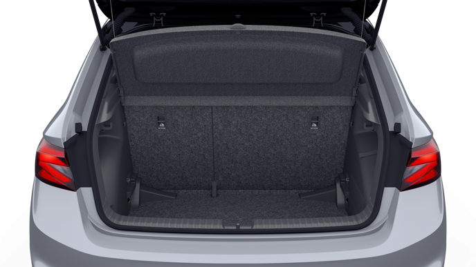 Bild eines Fabia Monte Carlo TSI