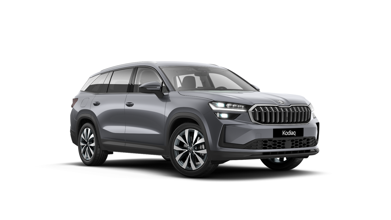 Bild eines Kodiaq Selection TDI DSG