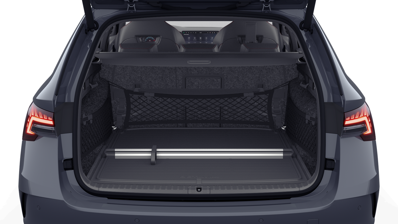 Bild eines Octavia Combi RS