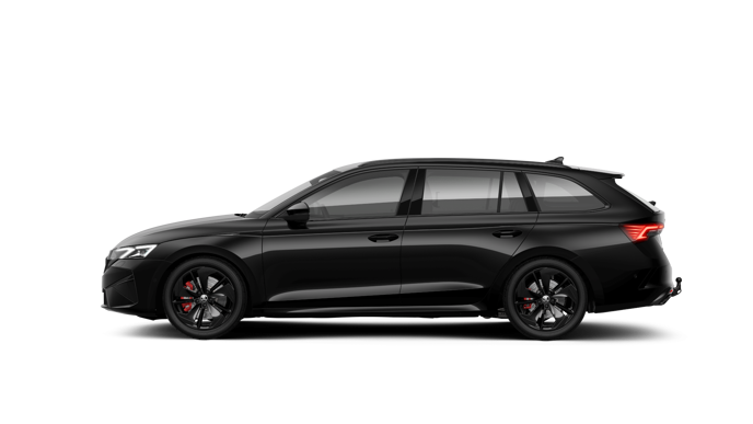 Bild eines Octavia Combi RS