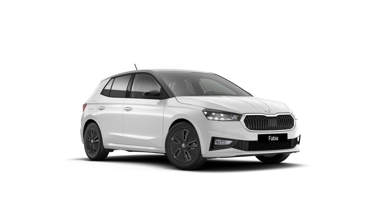 Bild eines Fabia Selection TSI DSG