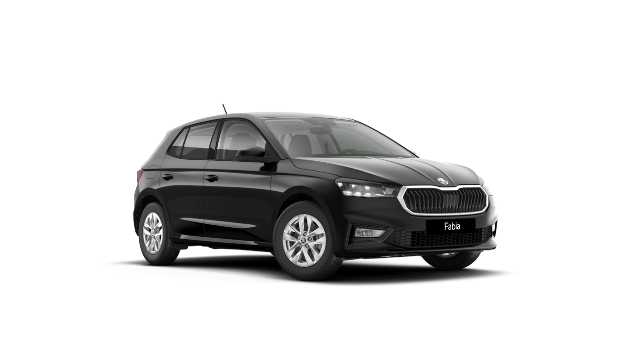 Bild eines Fabia Selection TSI DSG