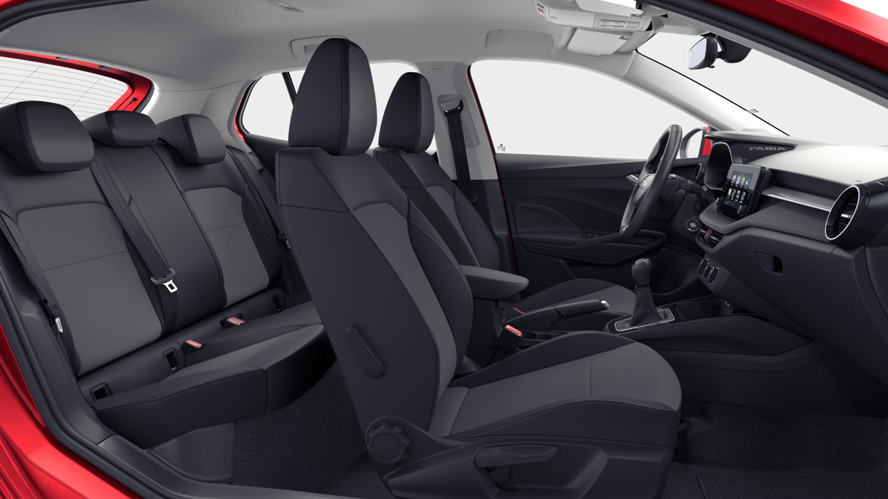 Bild eines Fabia Selection