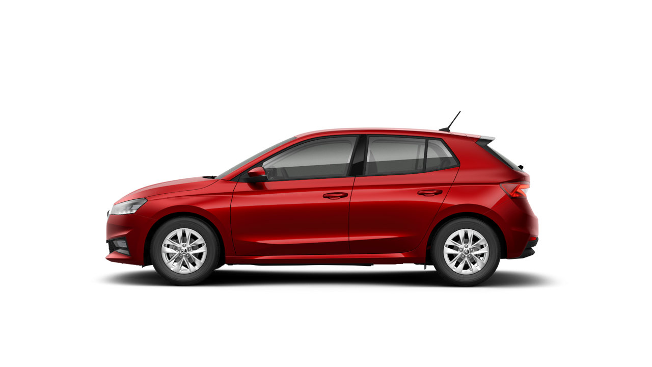 Bild eines Fabia Selection