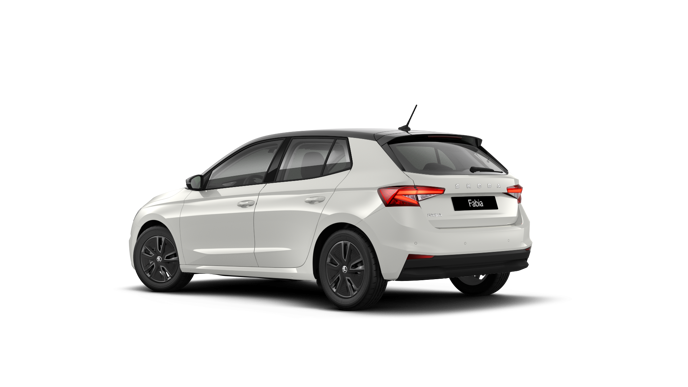 Bild eines Fabia Selection