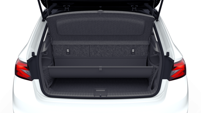 Bild eines Fabia Selection