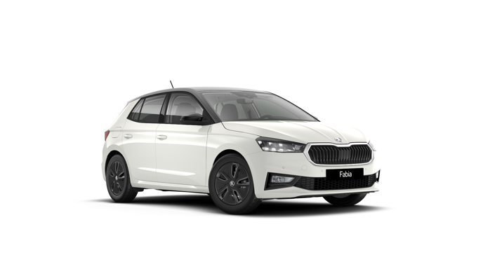 Bild eines Fabia Selection