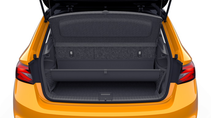 Bild eines Fabia Selection