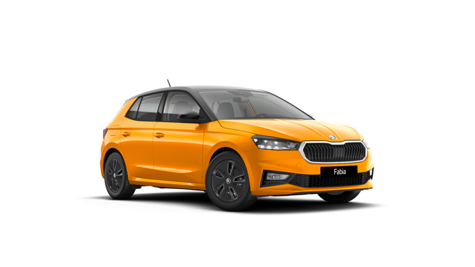 Bild eines Fabia Selection