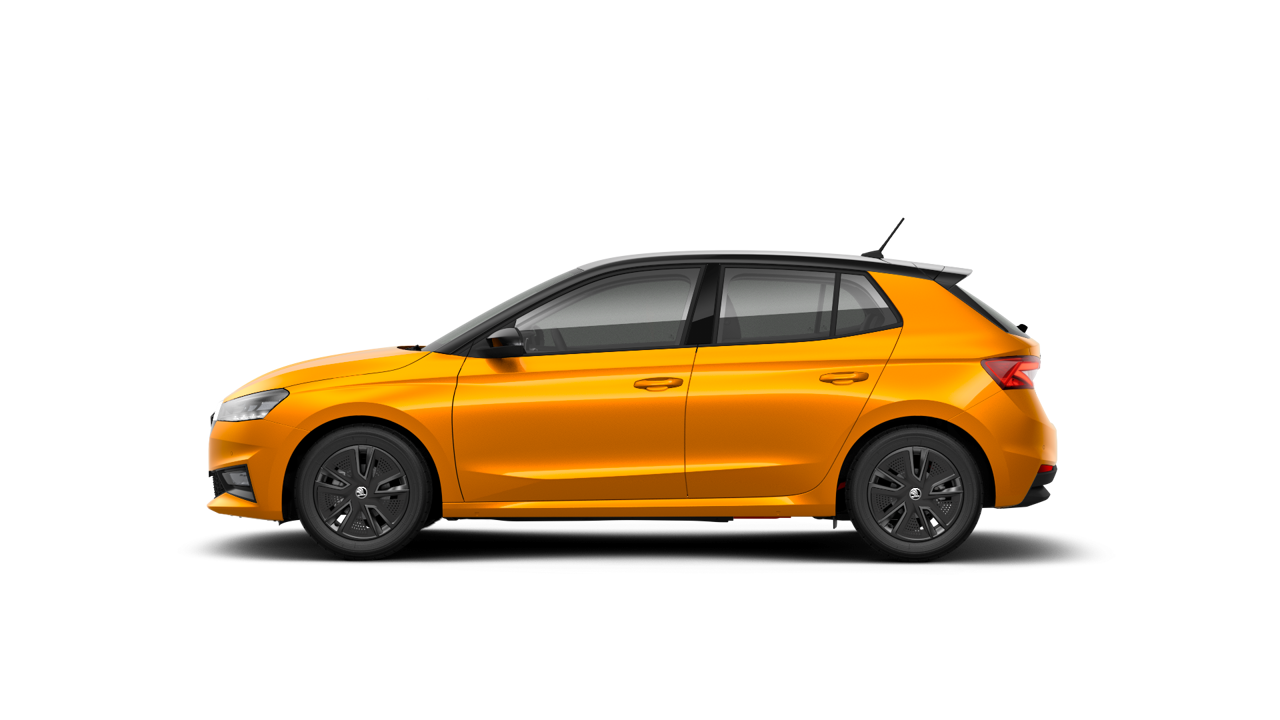 Bild eines Fabia Selection
