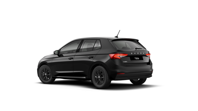 Bild eines Fabia Selection