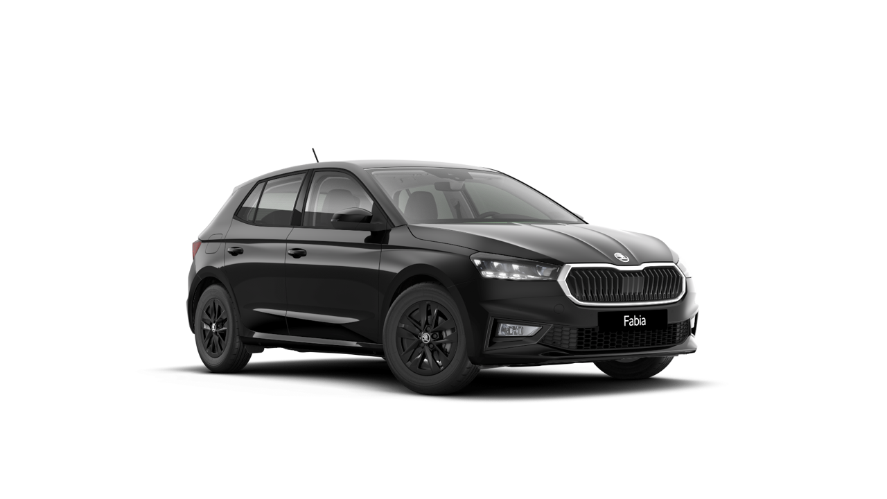 Bild eines Fabia Selection