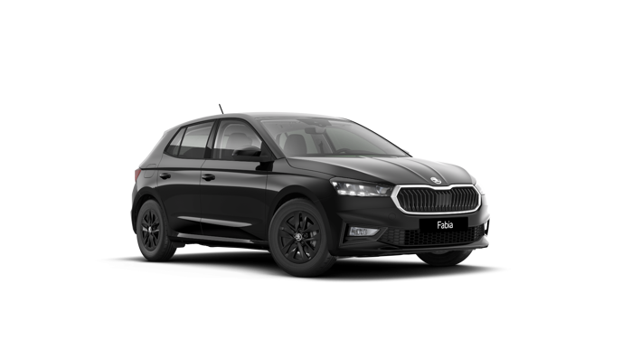 Bild eines Fabia Selection