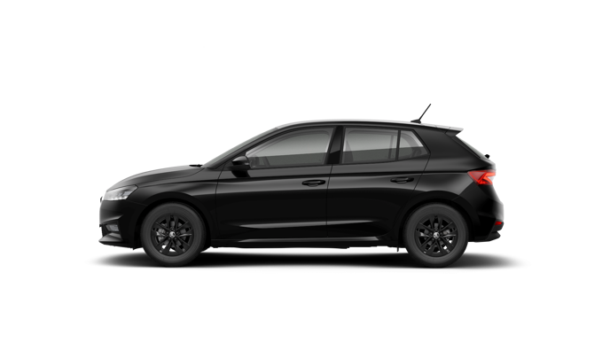 Bild eines Fabia Selection