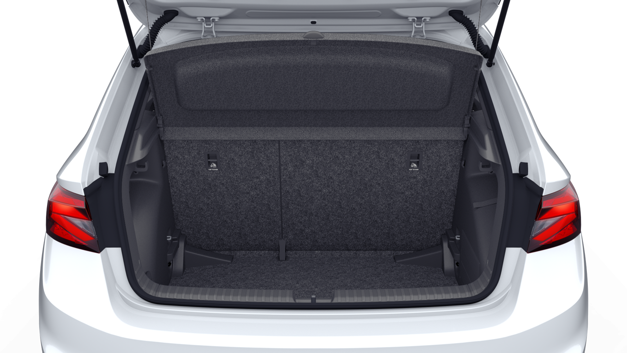 Bild eines Fabia Monte Carlo TSI