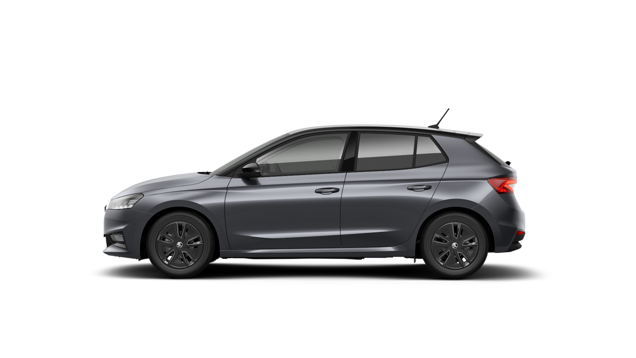 Bild eines Fabia Selection TSI