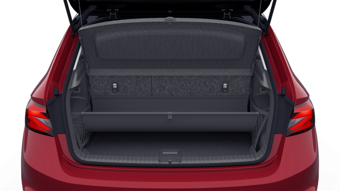 Bild eines Fabia Selection TSI DSG