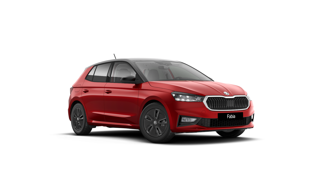 Bild eines Fabia Selection TSI DSG