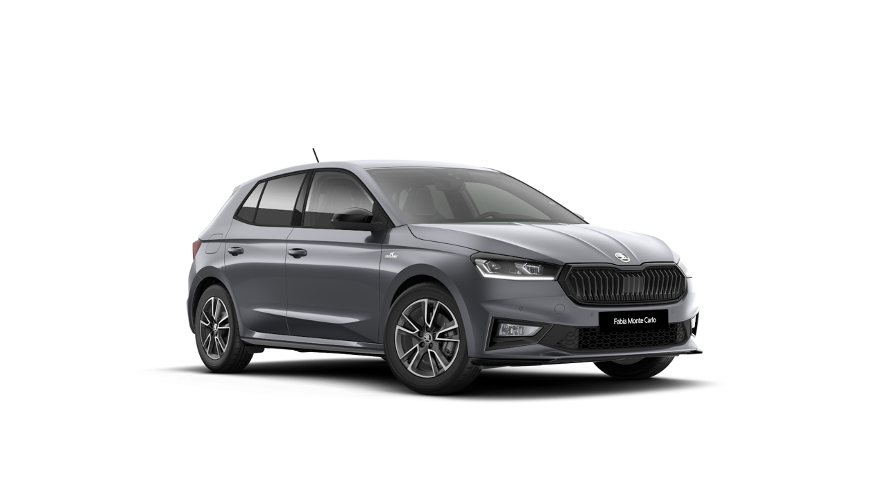 Bild eines Fabia Monte Carlo TSI DSG