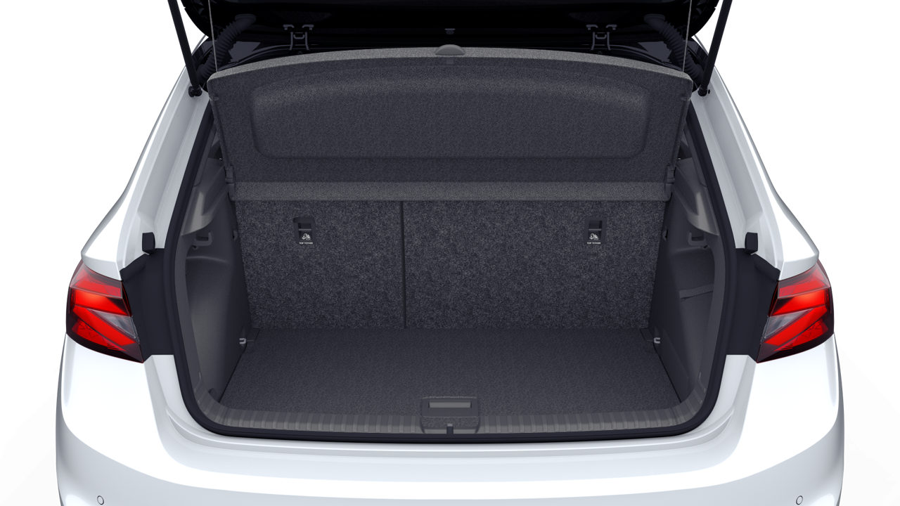 Bild eines Fabia Monte Carlo TSI DSG