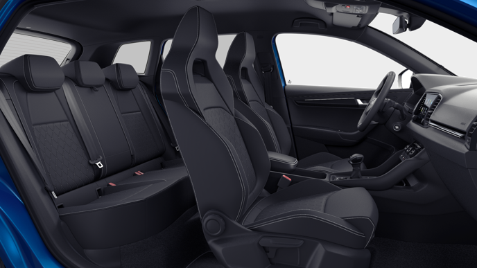 Bild eines Karoq Sportline TSI DSG ACT