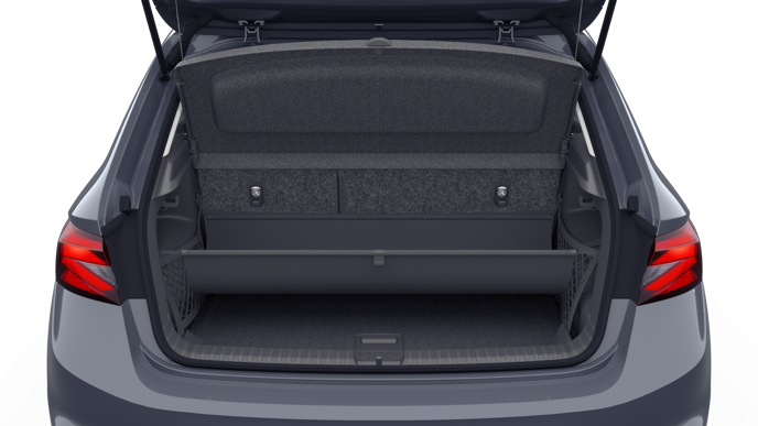 Bild eines Fabia Selection TSI