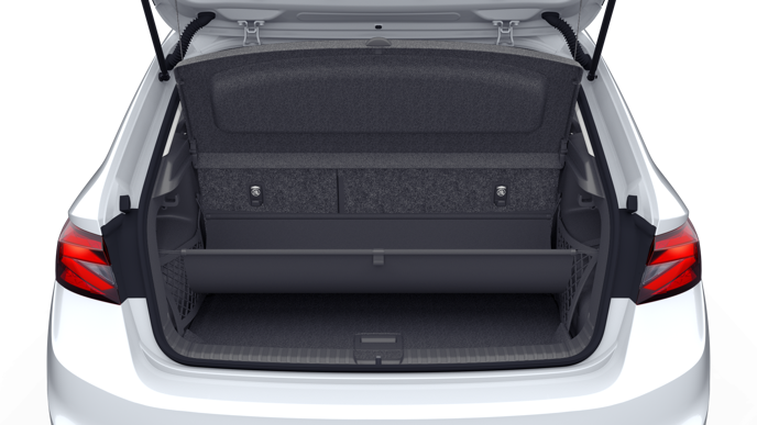 Bild eines Fabia Selection TSI DSG