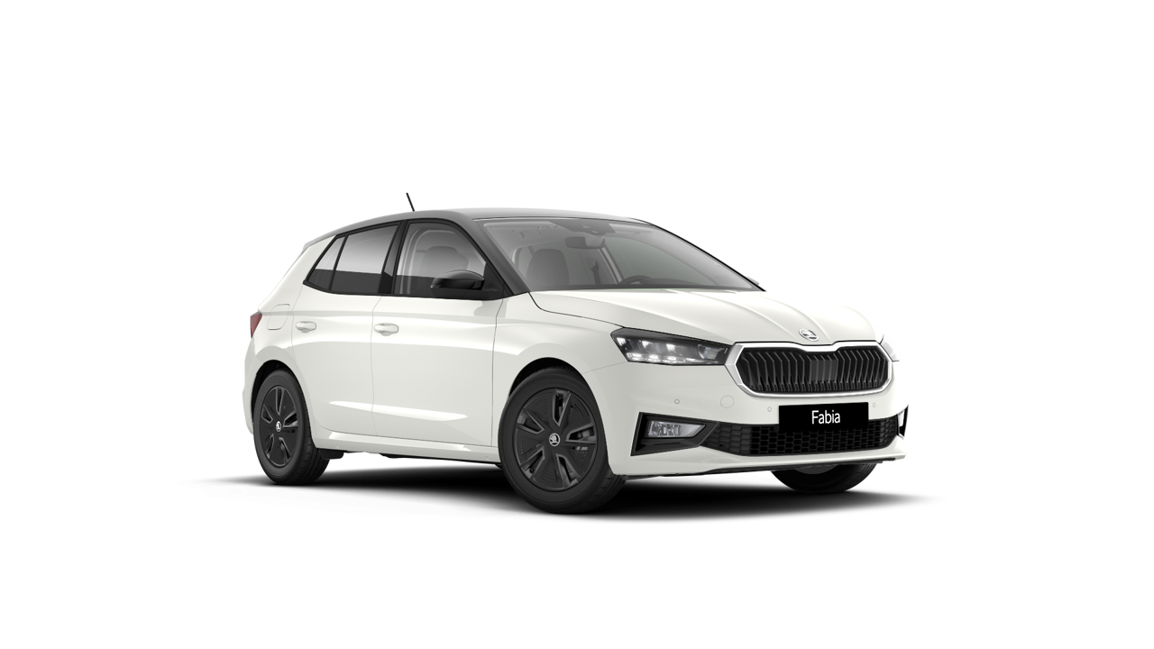 Bild eines Fabia Selection TSI DSG