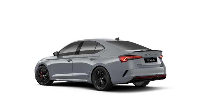 Bild eines Octavia RS