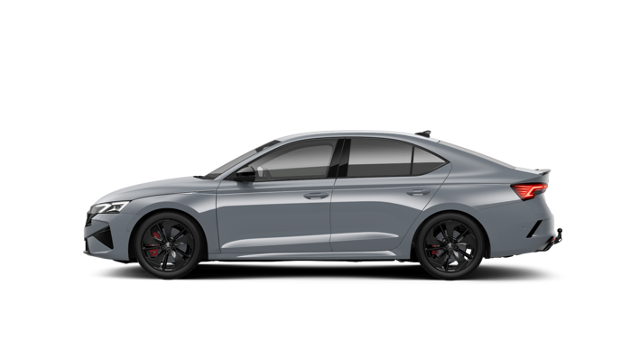 Bild eines Octavia RS