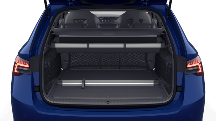 Bild eines Octavia Combi RS