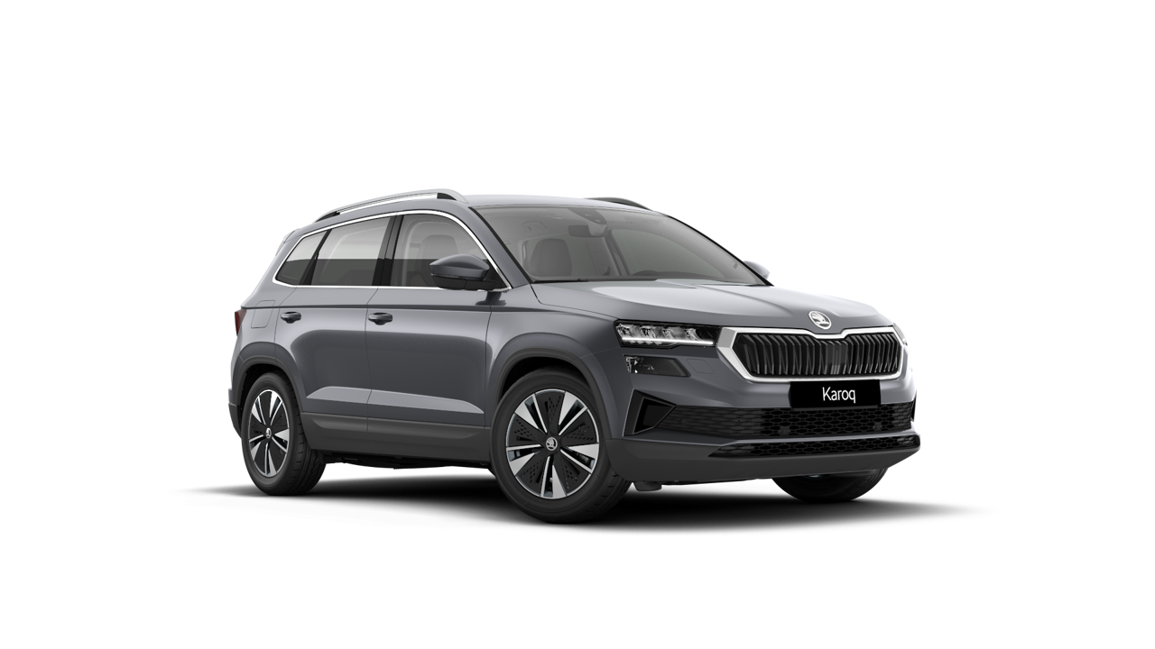 Bild eines Karoq Selection TDI DSG