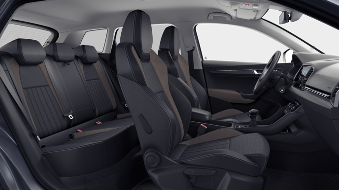Bild eines Karoq Selection TDI DSG