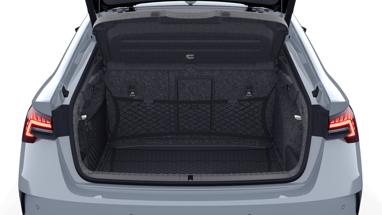 Bild eines Octavia RS
