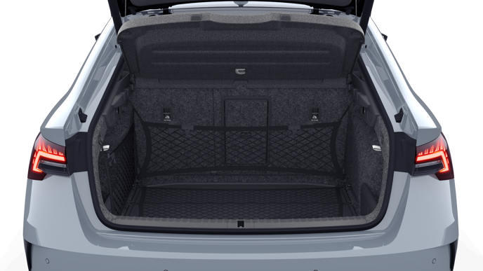 Bild eines Octavia RS