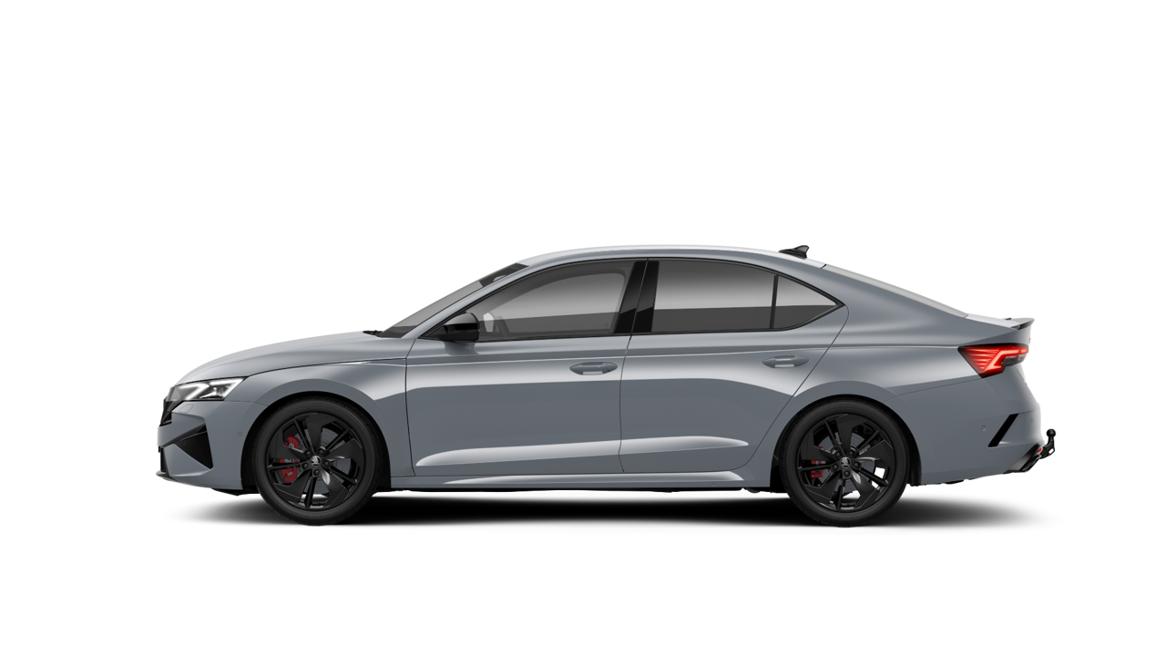 Bild eines Octavia RS