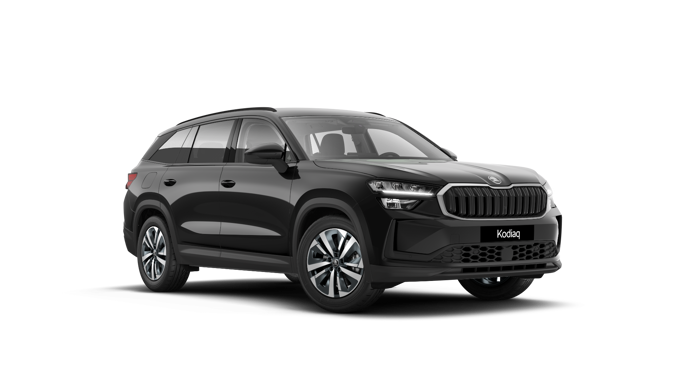 Bild eines Kodiaq Selection iV TSI DSG