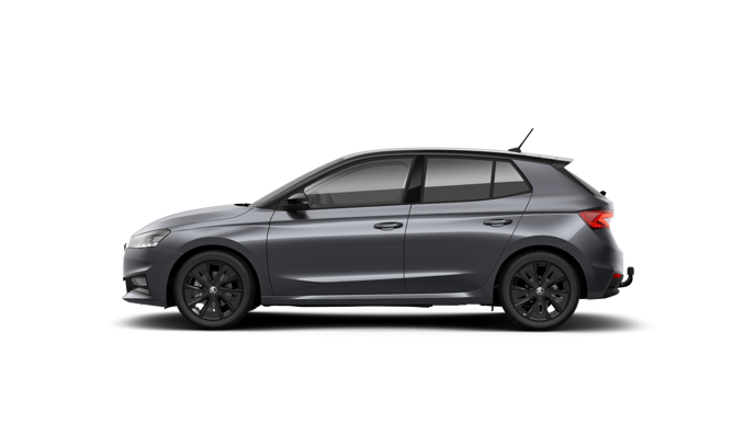 Bild eines Fabia Selection TSI DSG