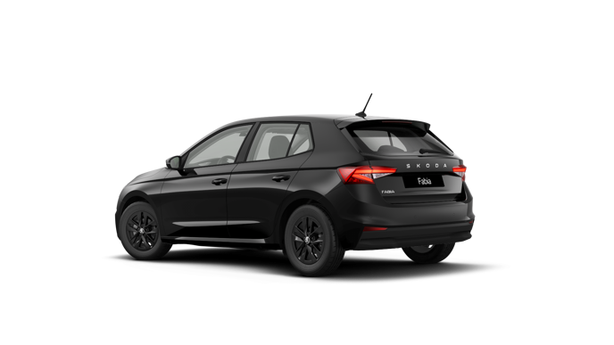 Bild eines Fabia Selection