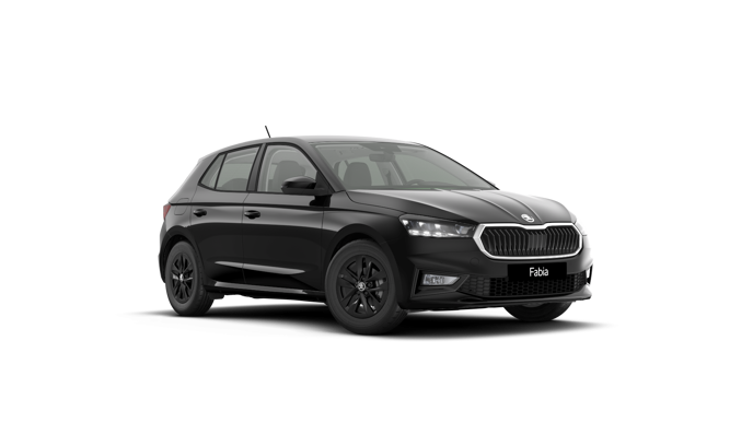 Bild eines Fabia Selection