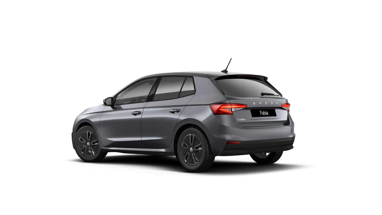 Bild eines Fabia Selection TSI