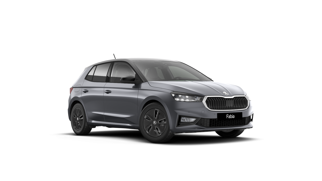 Bild eines Fabia Selection TSI