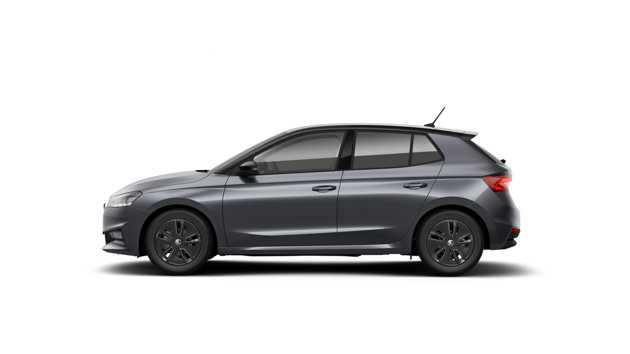 Bild eines Fabia Selection TSI